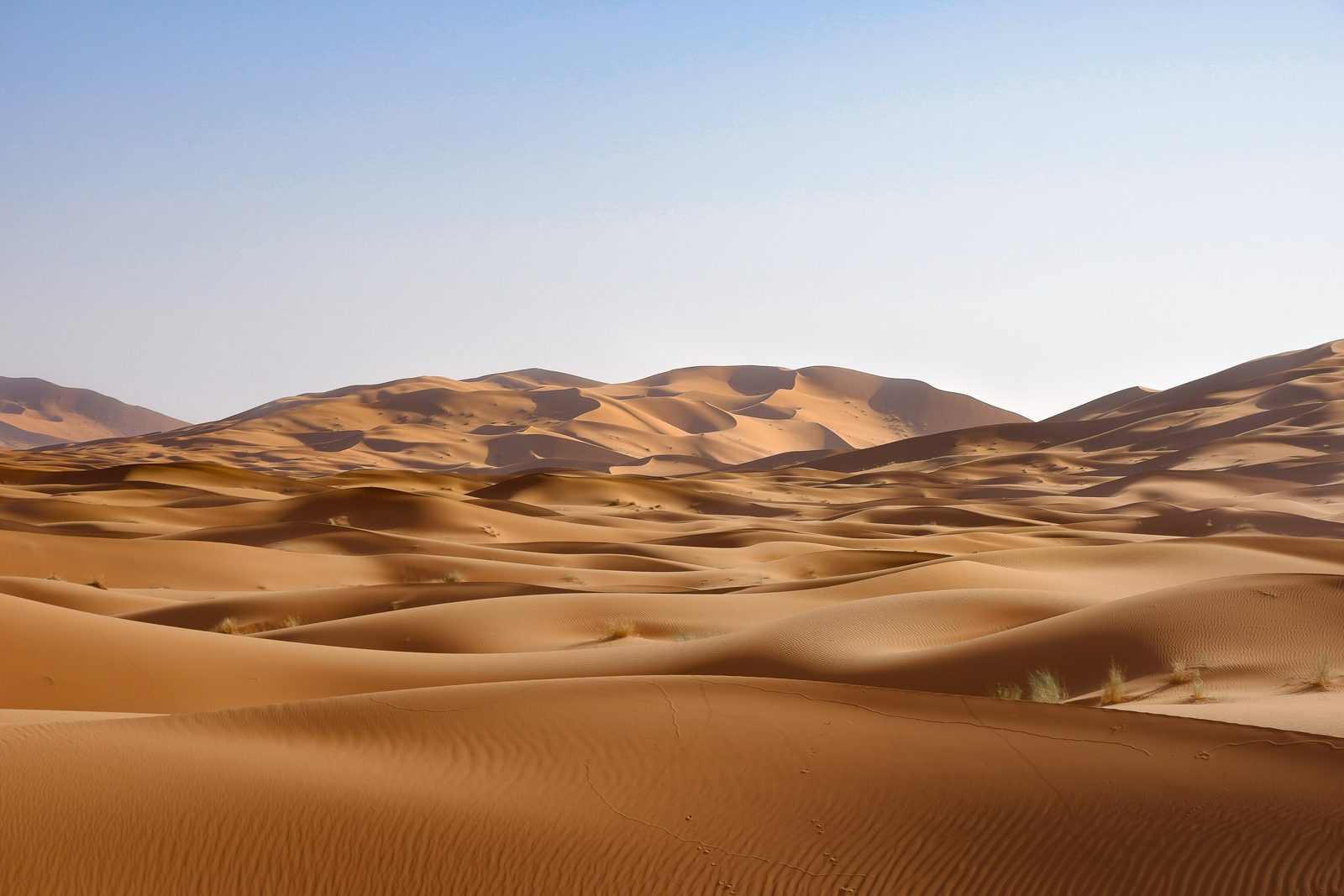 Dunes du Sahara marocain